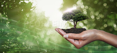 Buy stock photo Hand, palm and tree for nature sustainability, eco friendly or care, nurture or conservation of environment. Earth day, climate change or sustainable future with woman holding plants in soil for agro