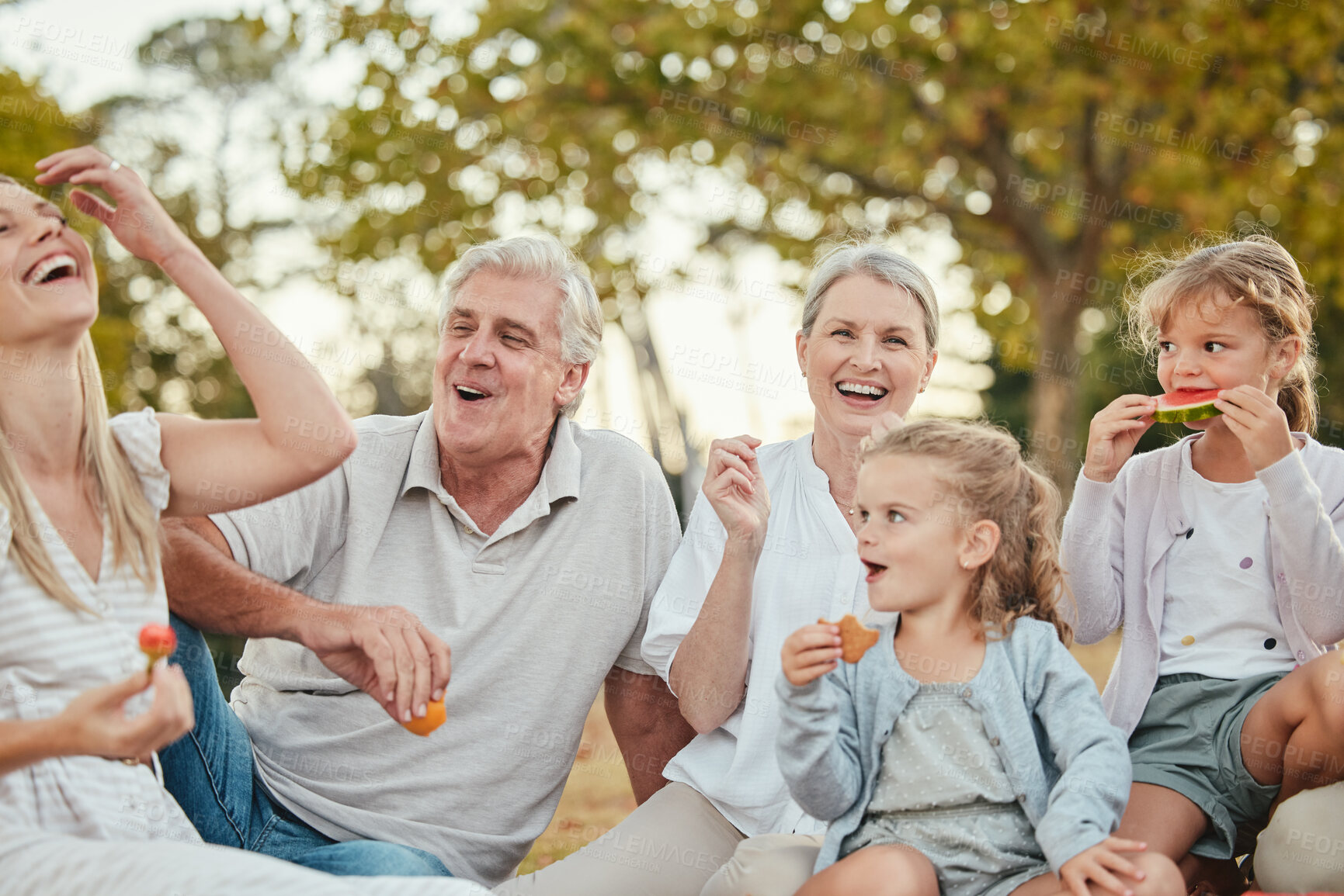 Buy stock photo Summer, park and family on picnic with fruit enjoying summer holiday, vacation and weekend together. Big family, love and grandparents, parents and children eating, bonding and relaxing outdoors