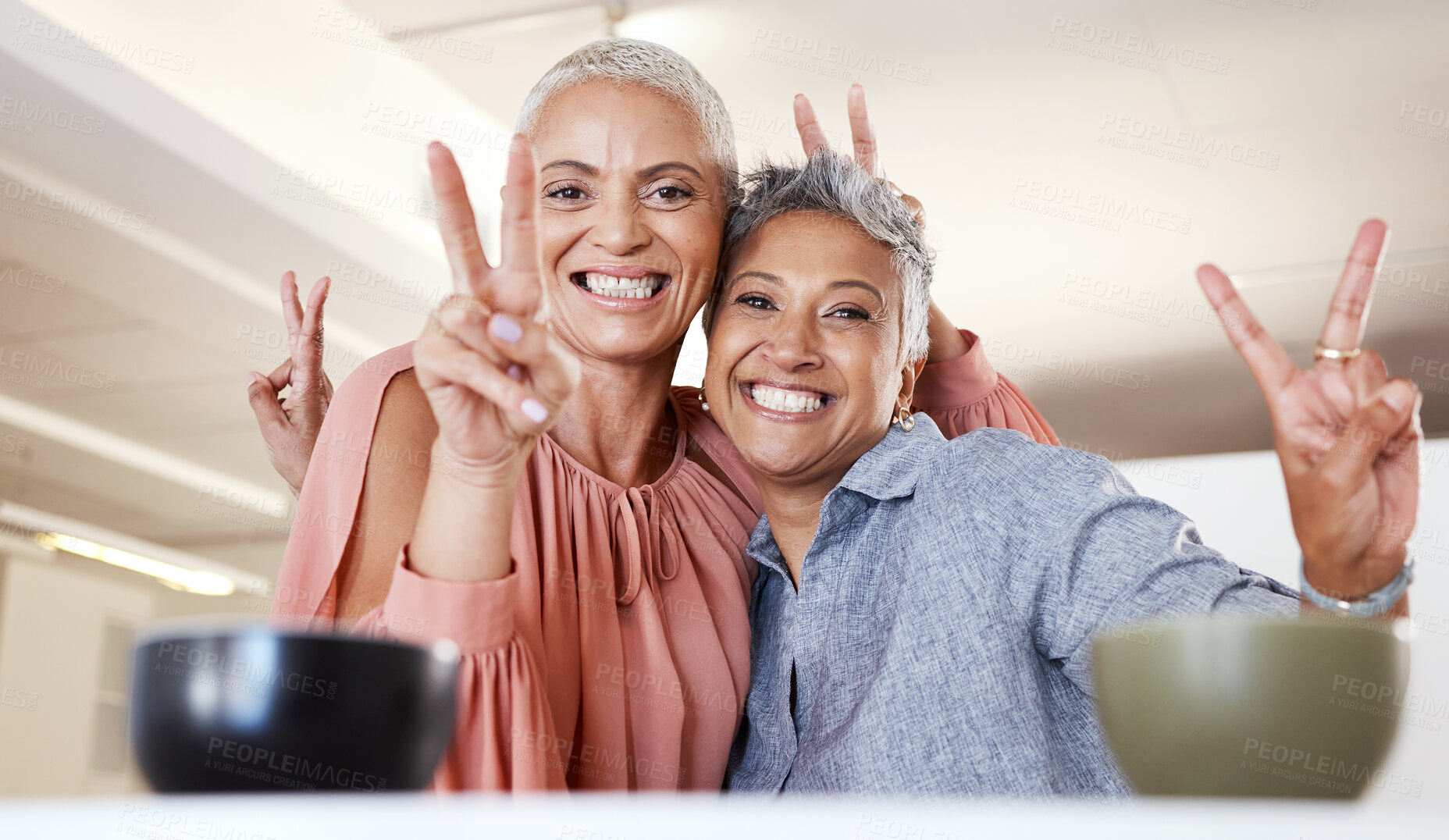 Buy stock photo Senior women, bonding or peace sign in house or home living room for social media, profile picture or cool memory capture. Portrait, happy smile or retirement elderly friends and emoji hands gesture