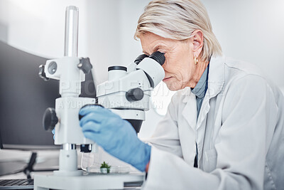 Buy stock photo Mature woman, microscope or laboratory scientist in plant growth analytics, food engineering or leaf medical research. Biologist, worker or employee with science magnify technology for sustainability