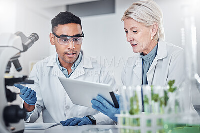 Buy stock photo Teamwork, plant science and doctors with tablet for research. Collaboration, sustainability and scientists, man and old woman with touchscreen for gmo, experiment and researching botany in laboratory
