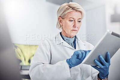 Buy stock photo Tablet, thinking and science with a doctor woman at work in a lab for research, innovation or development. Healthcare, medical and idea with a senior female scientist working in a laboratory