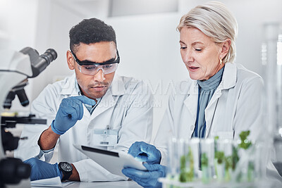 Buy stock photo Scientist, man and woman with tablet, laboratory and ecofriendly science. Agriculture, research and scientists with online reading, test samples and innovation for global warming, analytics and tech.