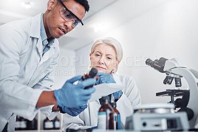 Buy stock photo Science, research and team with medicine in laboratory working on vaccine, virus cure and medication. Healthcare, innovation and collaboration of pharmacists for analysis, lab test and medical exam