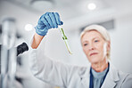 Science, plants and senior scientist with a test tube doing ecology research in a laboratory. Sustainable, agriculture and female botanist studying and analyzing natural leaves in glass vial in a lab