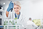 Scientist woman, laboratory and test tube with plants, research and analysis of leaves for ecology. Senior science expert, glass and health study of plant for pharma, medicine or sustainable medicine