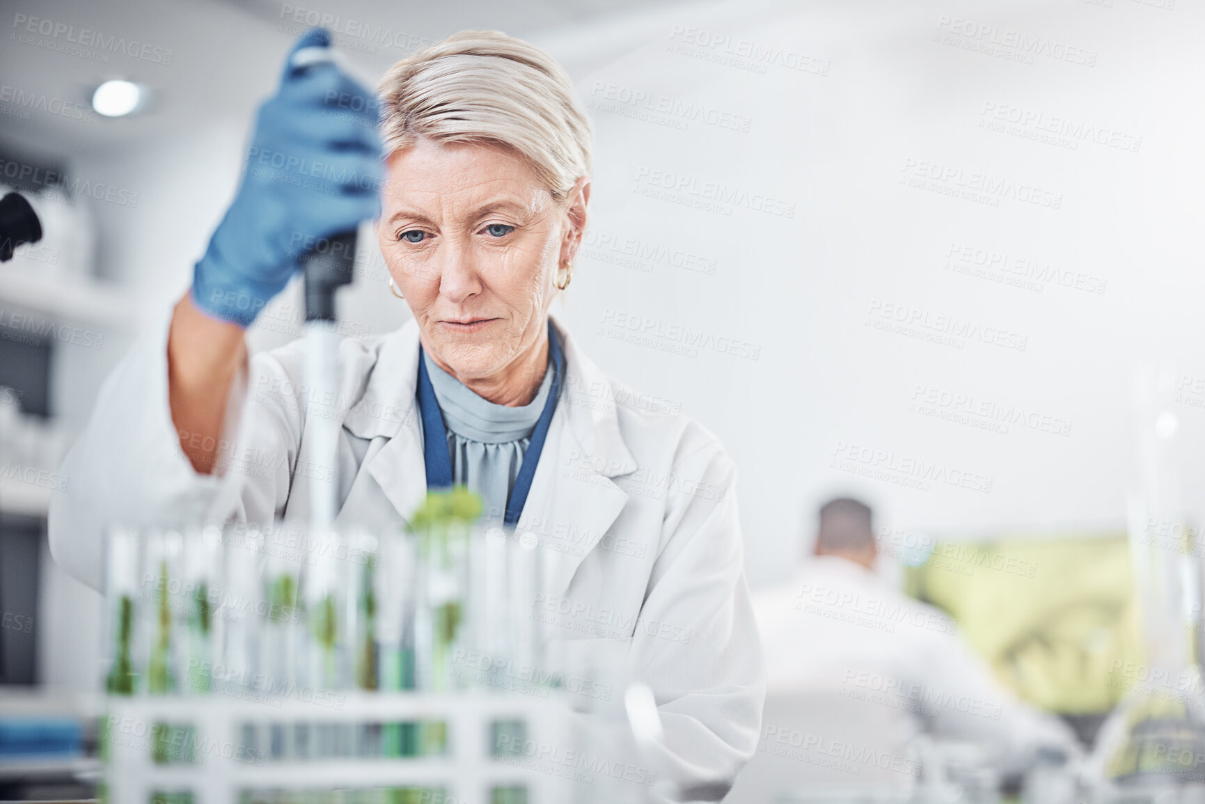 Buy stock photo Scientist woman, laboratory and test tube with plants, research and analysis of leaves for ecology. Senior science expert, glass and health study of plant for pharma, medicine or sustainable medicine