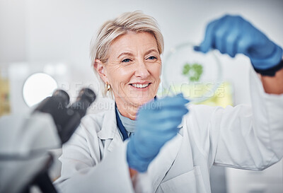 Buy stock photo Science, research and plants sample with a doctor woman at work in a biological lab for innovation or development. Healthcare, medicine and study with a female scientist working in a laboratory