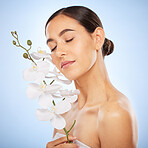Beauty, skincare and woman with an orchid in a studio for a health, wellness and natural face routine. Cosmetic, self care and girl model with clear skin from spa facial treatment by blue background.