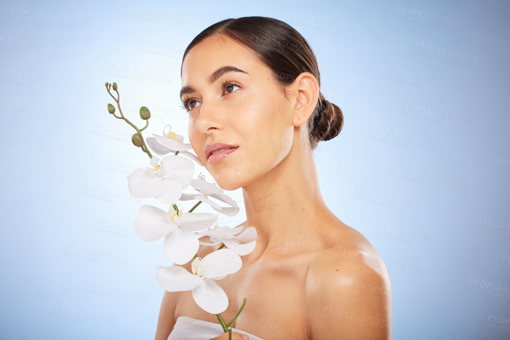Buy stock photo Beauty, skincare and woman with an orchid in a studio for a health, wellness and natural face routine. Cosmetic, self care and girl model with clear skin from spa facial treatment by blue background.