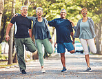 Senior friends, stretching exercise and park with smile, wellness and self care in summer sunshine. Elderly group of people, fitness and healthy workout with motivation for health, nature or teamwork