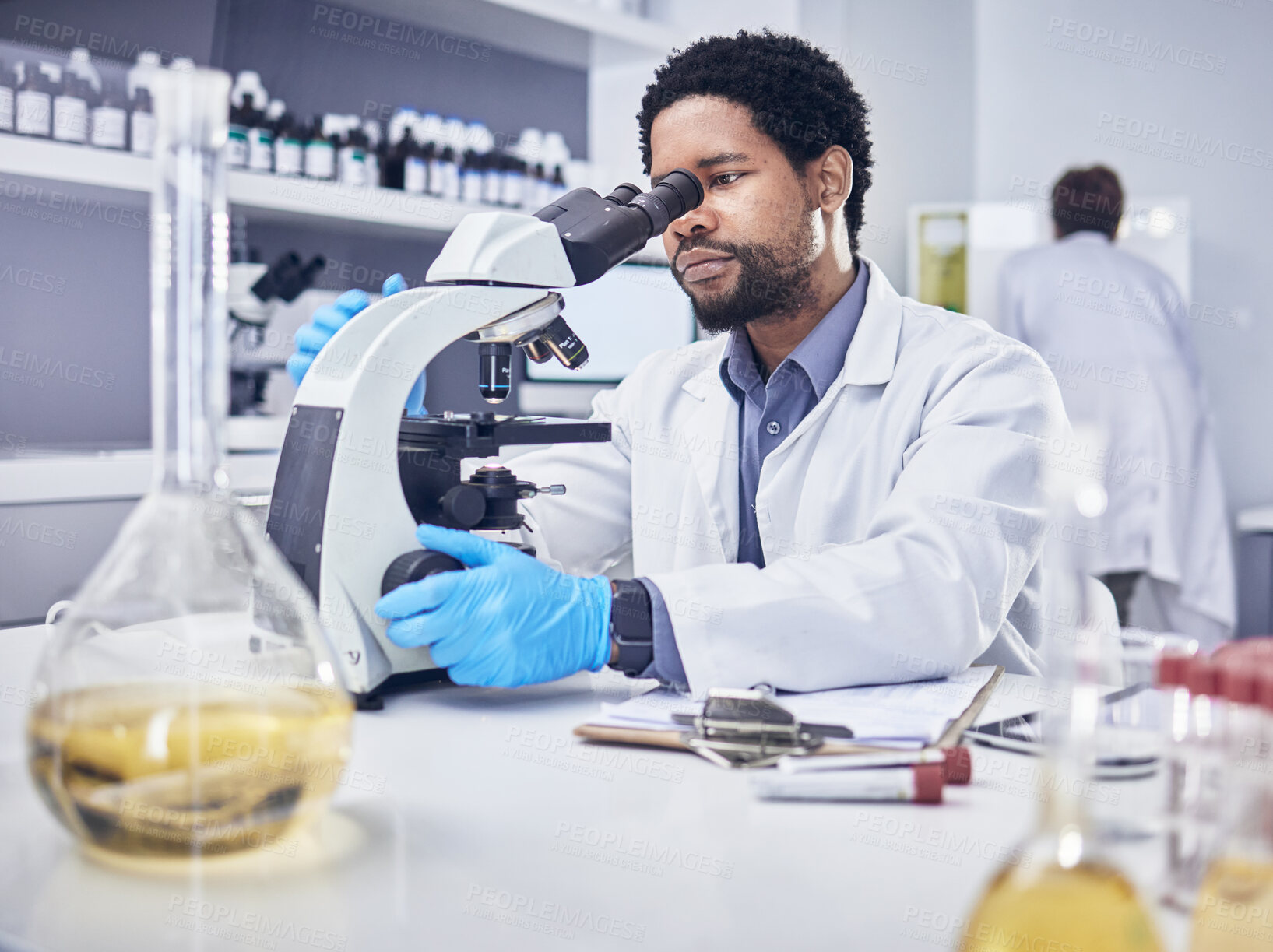 Buy stock photo Microscope, scientist and black man with research, healthcare and diagnosis in laboratory. Science, African American male and lab equipment for cure, check sample for illness, virus and innovation.