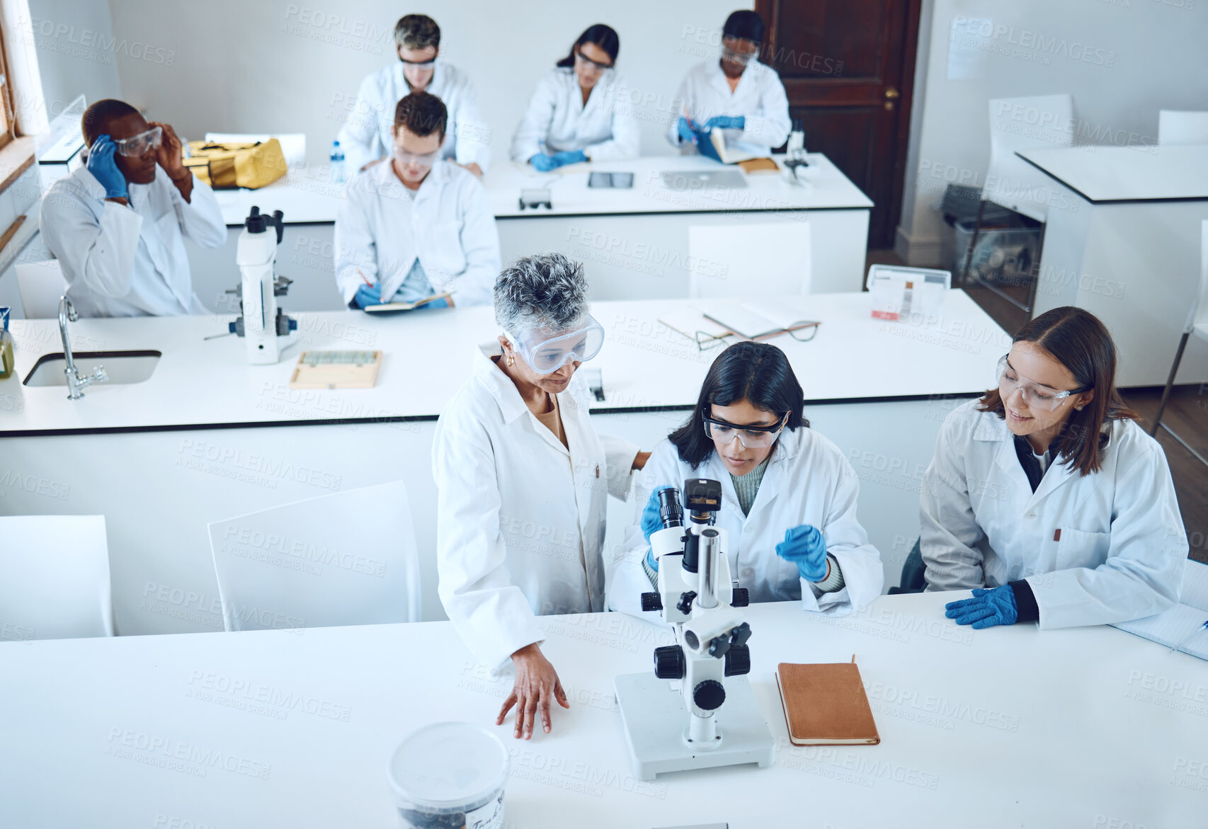 Buy stock photo Science, university students and microscope in scientist lab for learning from mentor for medical education or medicine research in class. Pharmacist and chemistry test for women group for analysis