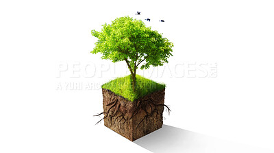 Buy stock photo Tree, graphic and green sustainability for eco friendly, nature or care for earth environment. Trees, climate change or sustainable development of planet, recycle or soil by isolated white background