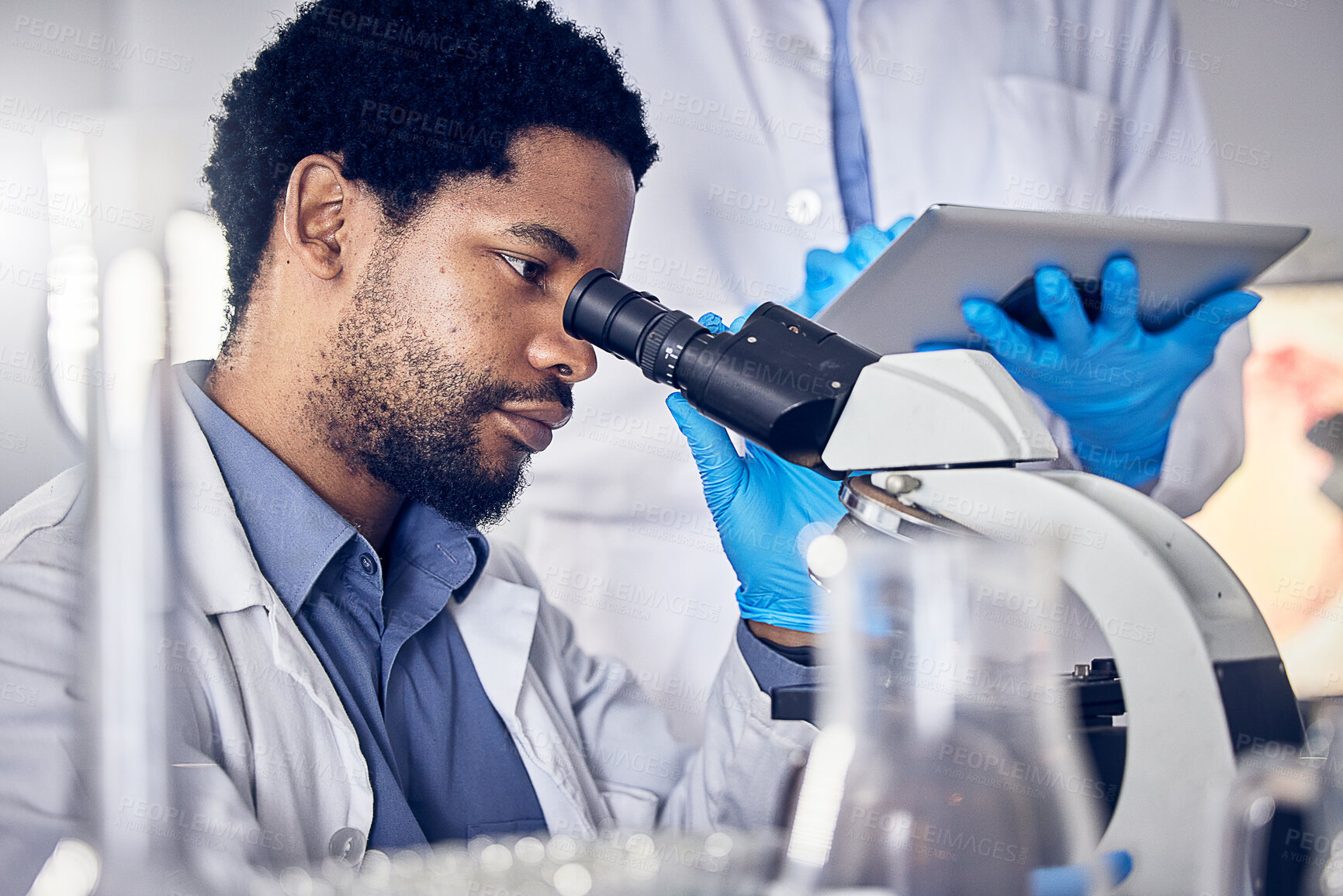 Buy stock photo Black man, scientist and microscope with science research in laboratory, data analysis and expert with scientific or medical innovation. Phd doctor, face and biotechnology, chemistry and study in lab