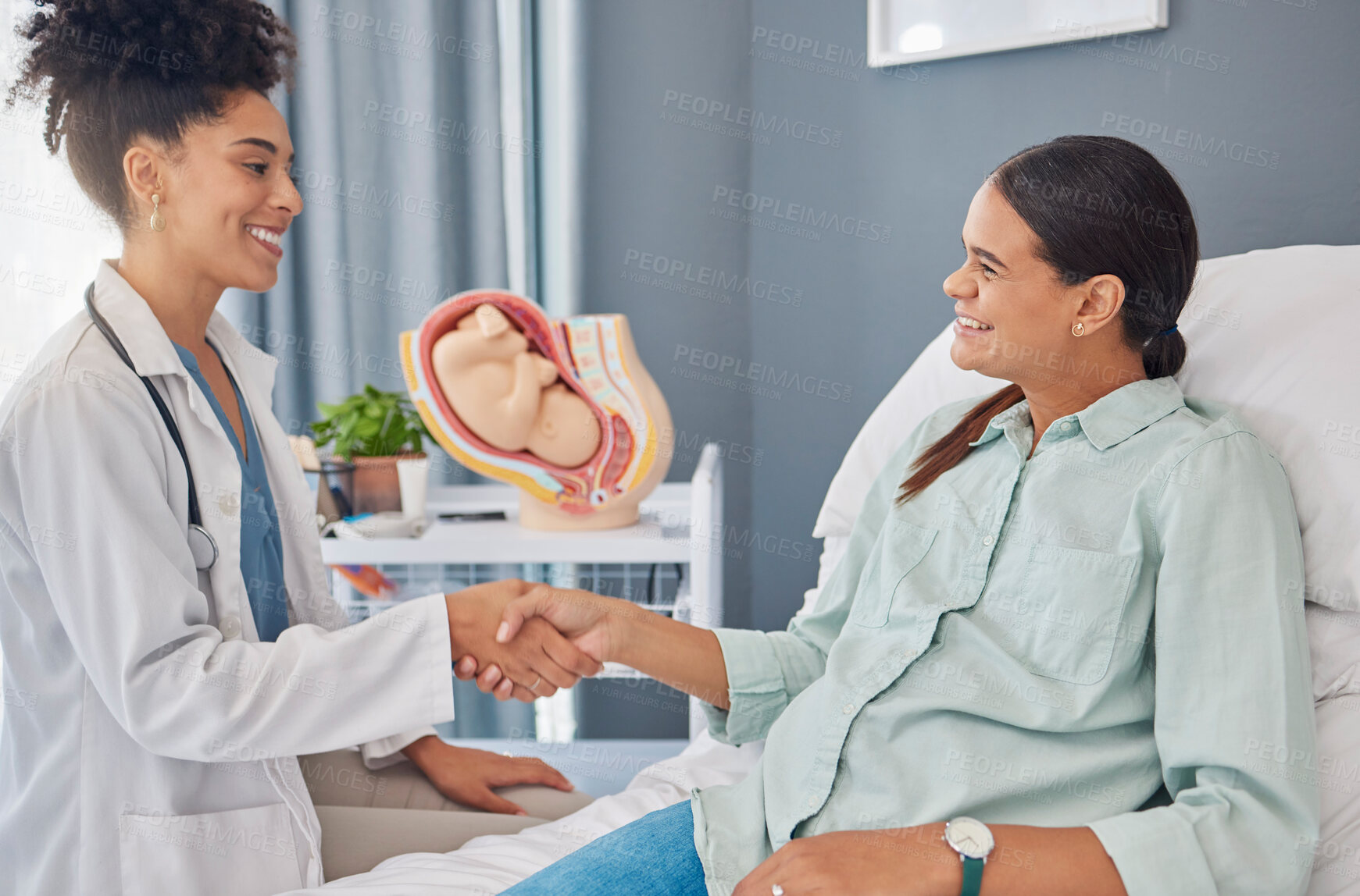 Buy stock photo Pregnant patient, doctor or gynecologist shaking hands for welcome, thank you and hello greeting Pregnancy maternity consultation, gynecology or woman for medical, baby healthcare or hospital support