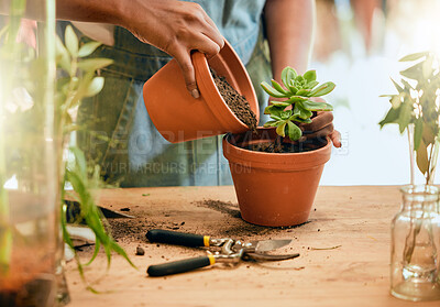 Buy stock photo Pot plant, soil and woman hands gardening for sustainability, eco environment and garden or greenhouse. Person with succulent plants with leaf to grow, plant and care for during development  process