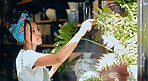 Small business, black woman and entrepreneur as a florist at a plant shop in the gardening in a nursery. Sustainability, growth and business owner working with green plants in a greenhouse startup