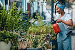 Water, flowers or black woman gardening in small business store for healthy or organic plants growth. Irrigation, store manager or female entrepreneur watering floral agriculture with a happy smile