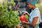 Water, plants or happy black woman gardening in small business store for healthy leaf or organic flowers growth. Irrigation, agro worker or entrepreneur watering floral agriculture smiles with pride