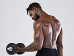 Fitness, exercise and strong black man training with weights for bicep muscle workout in studio. Body of a sports person or bodybuilder with dumbbell to train for power, health and wellness or growth