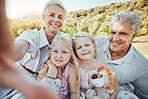 Love, selfie and grandparents with girls in park, smile or loving together for vacation, break or bonding. Portrait, granny or grandfather with granddaughters outdoor, playful or happiness on holiday