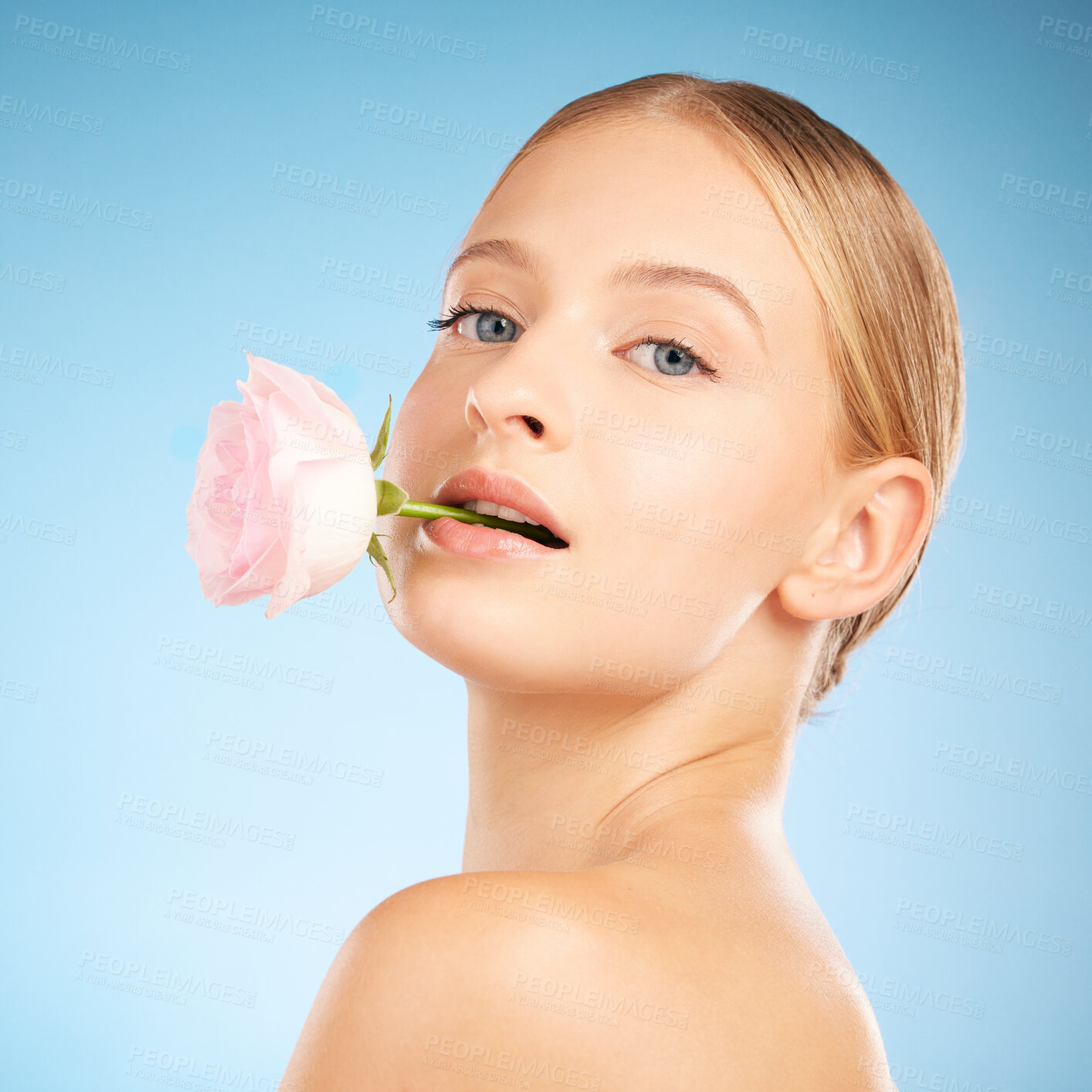 Buy stock photo Woman, cosmetic studio and rose in mouth for beauty, spring or natural aesthetic by blue background. Healthy model, flower and portrait for organic cosmetics, skin glow and facial makeup for wellness