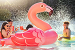 Pool, flamingo and friends at a party with drinks happy in the water with a splash outdoor. Swimming, alcohol and happiness of young people celebration in sunshine for summer together having fun