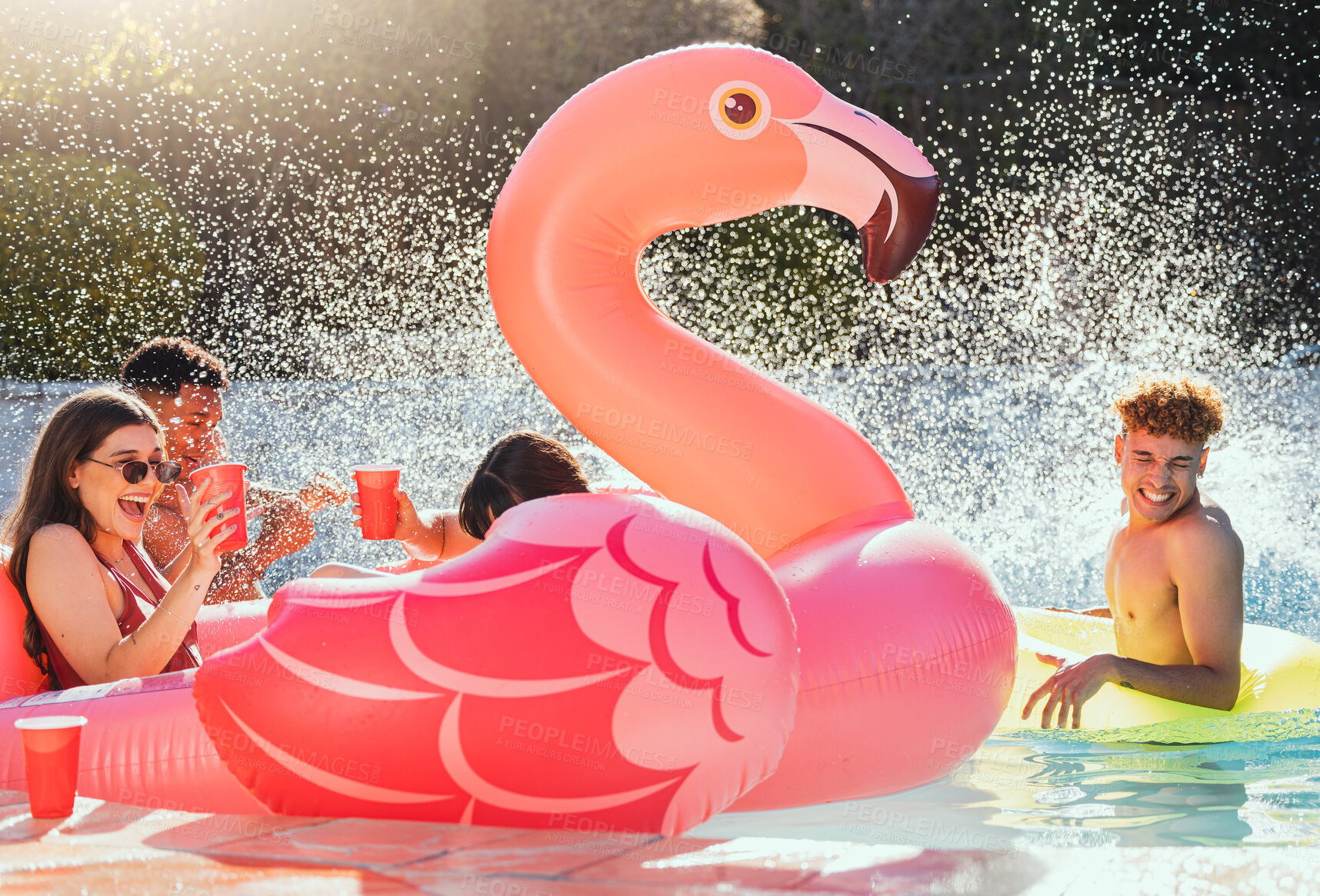 Buy stock photo Pool, flamingo and friends at a party with drinks happy in the water with a splash outdoor. Swimming, alcohol and happiness of young people celebration in sunshine for summer together having fun