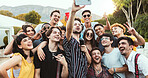 party, selfie and group of people or friends on social media, summer and gen z lifestyle at outdoor celebration. Young women, youth or influencer with mic for karaoke profile picture on crazy holiday