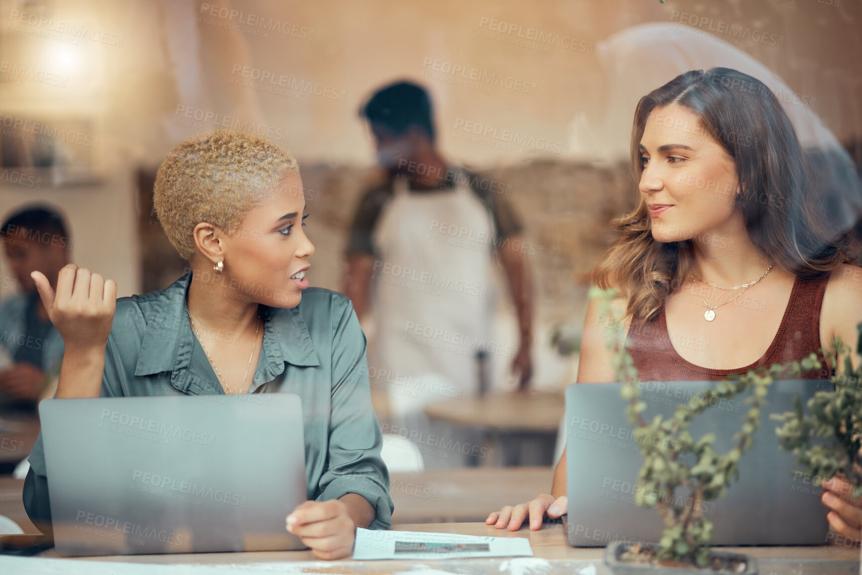 Buy stock photo Discussion, laptop and business women in cafe window for conversation, planning and b2b networking. Communication, teamwork and female workers talking for project ideas, strategy report and research