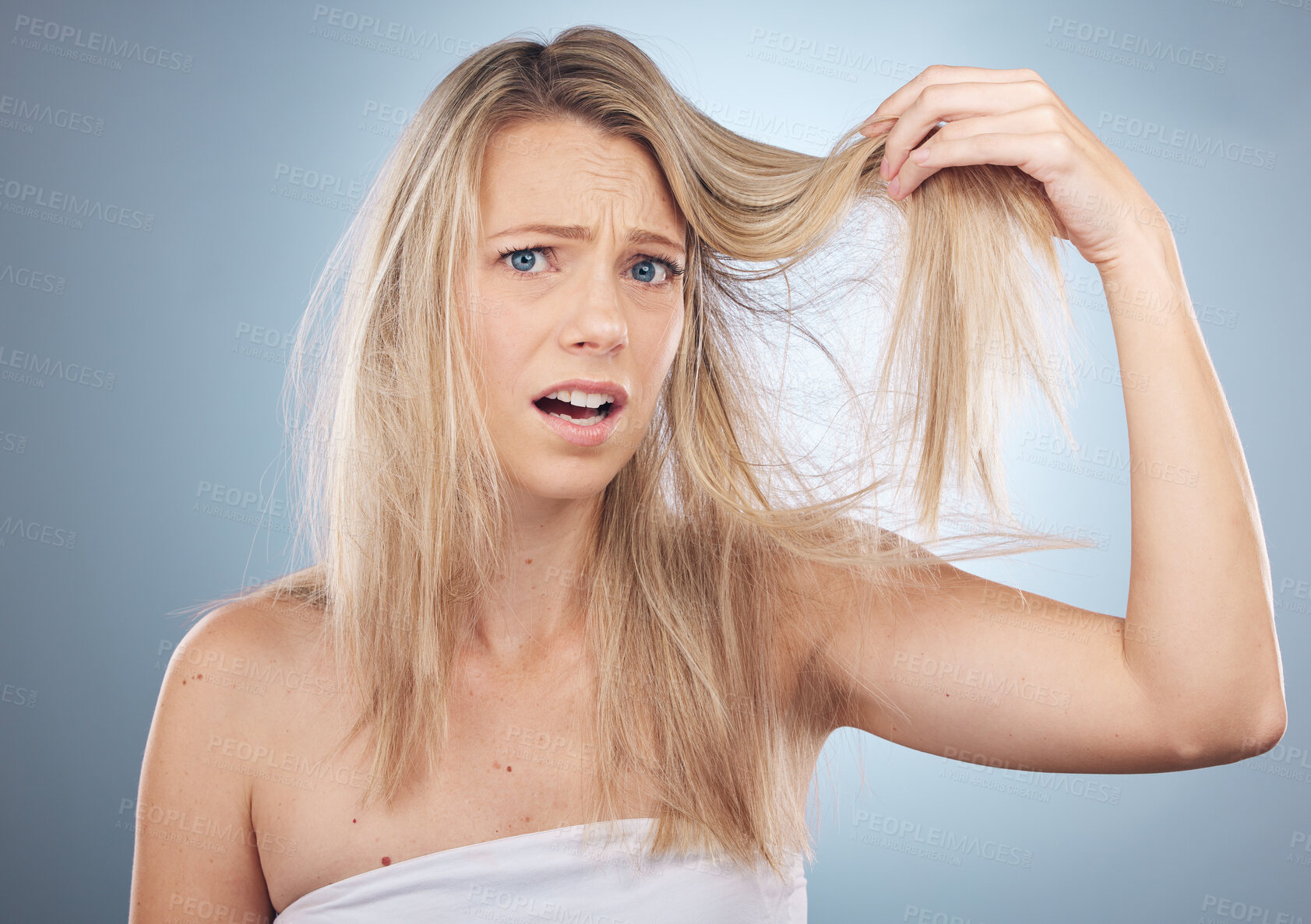 Buy stock photo Hair loss, face portrait and shocked woman in studio isolated on a gray background. Beauty, surprised and female model sad, angry or frustrated with haircare damage, split ends or messy hairstyle.