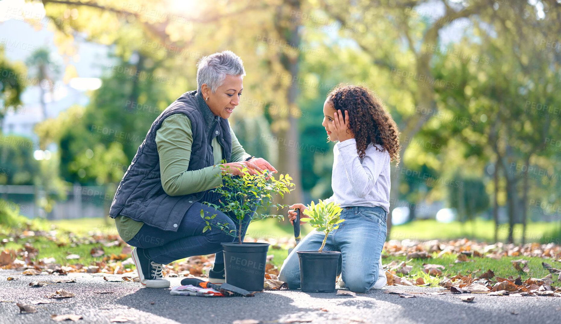 Buy stock photo Child, woman and plant for gardening in a park with trees in nature, agriculture or garden. Volunteer team learning growth, ecology and sustainability for outdoor community enviroment on Earth day