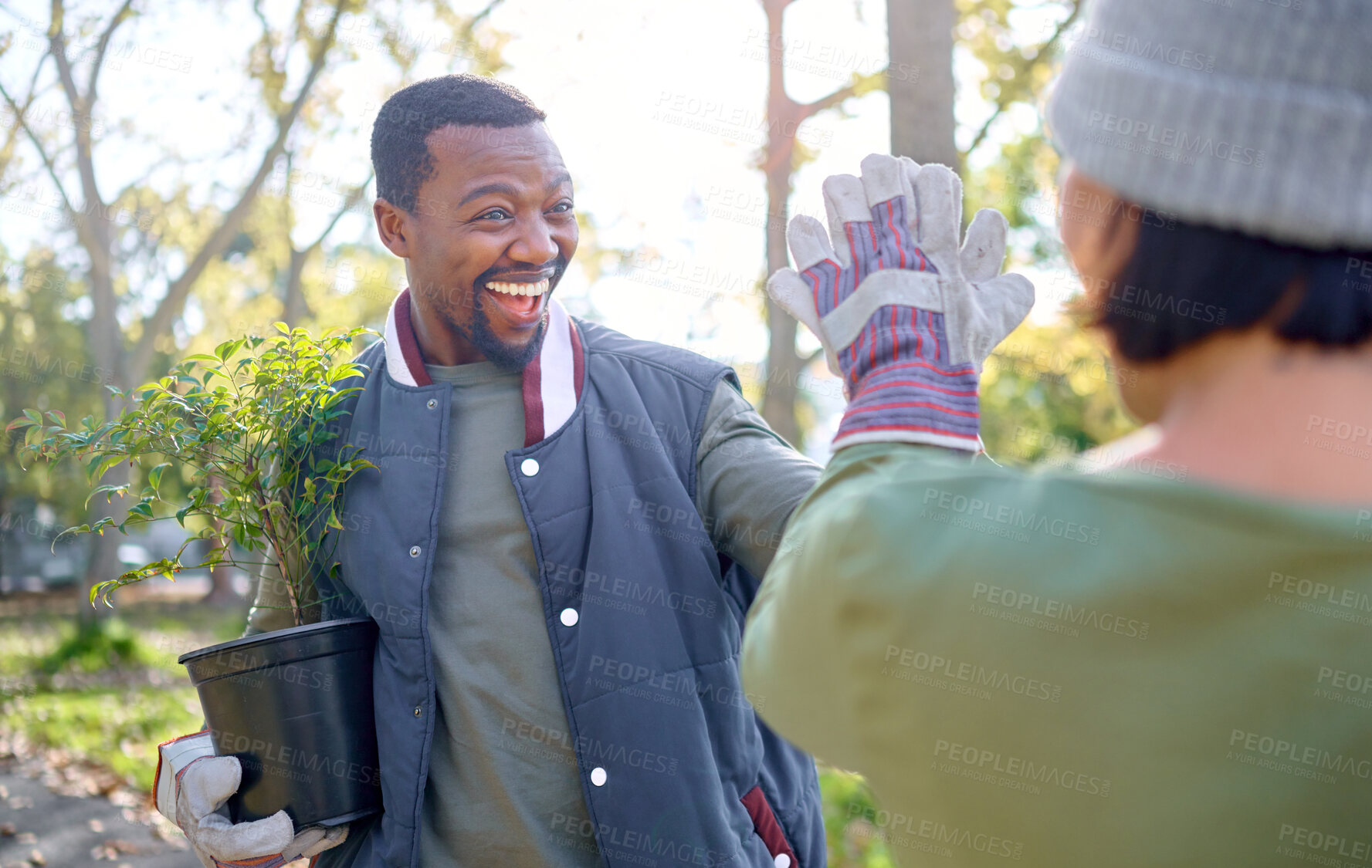 Buy stock photo High five, gardening and people in a garden happy and celebrating plant growth for sustainability in the environment. Volunteer, black man and team excited for planting as teamwork in a park