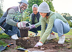 Plants, community service and volunteering group in park, garden and nature for sustainable environment. Climate change, tree gardening and earth day project for growth, global care and green ecology