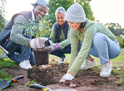 Buy stock photo Plants, community service and volunteering group in park, garden and nature for sustainable environment. Climate change, tree gardening and earth day project for growth, global care and green ecology