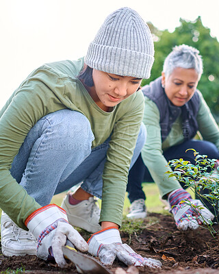 Buy stock photo Plants, community service and woman volunteering in park, garden and nature for sustainability. Climate change, team and tree gardening in sand for earth day project, growth and green ecology in soil