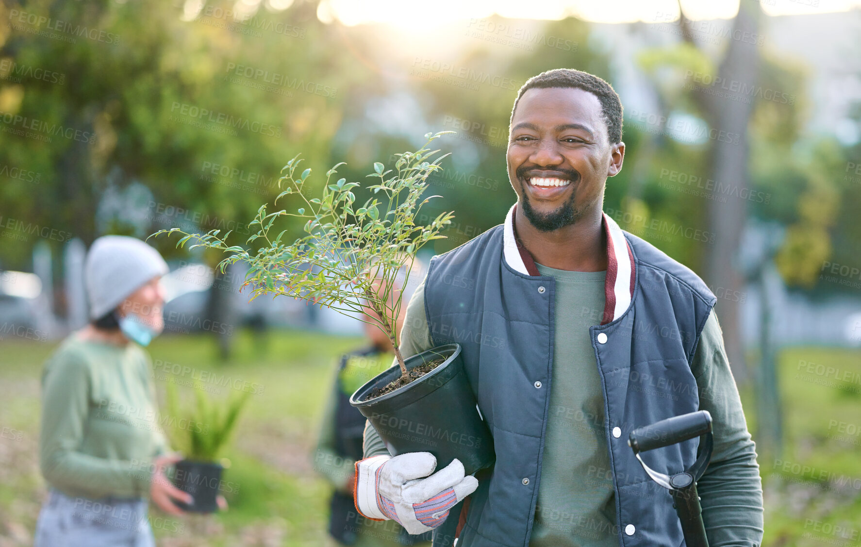 Buy stock photo Agriculture, nature and black man with a plant in a park after doing sustainable gardening. Happy, smile and eco friendly African male gardener standing with greenery on outdoor field in countryside.
