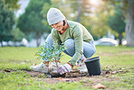 Nature, plant and woman gardening in a park for sustainable, agriculture or eco friendly garden. Environment, agro and Asian female gardener planting natural greenery in outdoor field in countryside.
