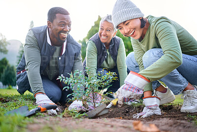 Buy stock photo Gardening, community service and people volunteering in park, garden and nature for sustainability. Climate change, happy team and tree plants in sand for earth day project, growth and green ecology