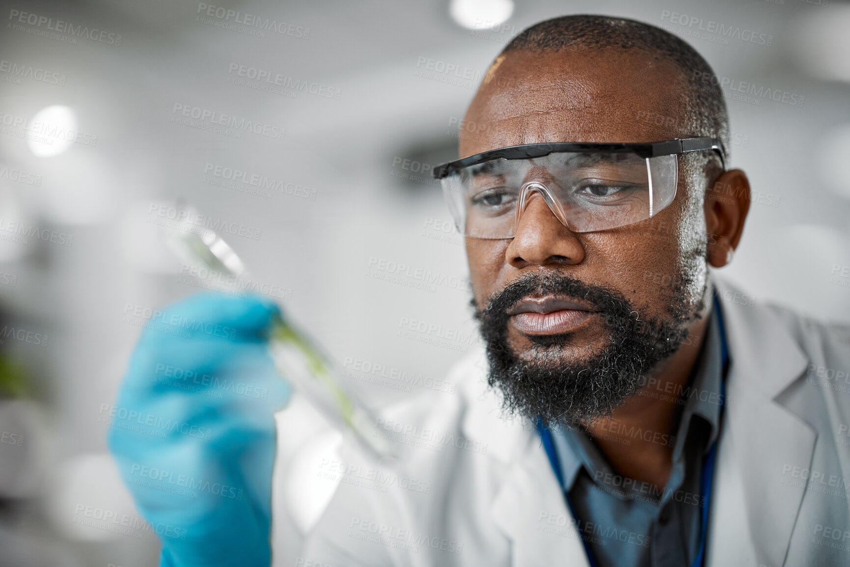Buy stock photo Scientist face, thinking and test tubes in laboratory pharma, medical science research or gmo food engineering. Zoom, man and biologist with glass equipment in healthcare,  sustainability or growth