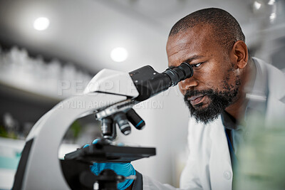 Buy stock photo Mature man, microscope and laboratory scientist in plant growth analytics, food engineering or leaf medical research. Biologist, worker or employee with science magnify technology for sustainability