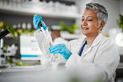 Buy stock photo Plants, test tube and scientist woman with research, exam and solution for leaves in laboratory, eco friendly medicine. Glass, sustainable healthcare study and Pharma growth of senior science expert