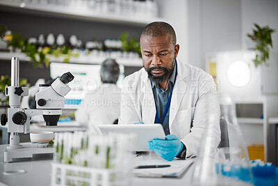 Buy stock photo Plant scientist, tablet or thinking in science laboratory for medical research, innovation or ideas for genetic gmo engineering. Black man, worker or biologist on technology for growth sustainability