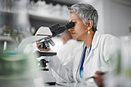 Scientist, senior woman and lab with microscope, research or plants with particles, pharmaceutical study and focus. Elderly science expert, computer or vision for data analysis for goal in laboratory