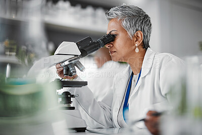 Buy stock photo Scientist, senior woman and lab with microscope, research or plants with particles, pharmaceutical study and focus. Elderly science expert, computer or vision for data analysis for goal in laboratory