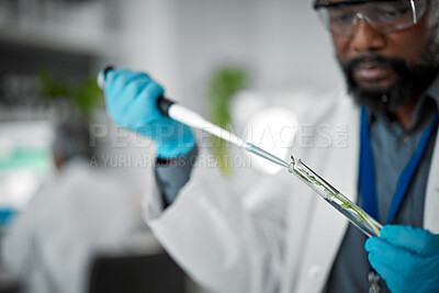 Buy stock photo Plant, hands or pipette for test tube science of leaf in laboratory pharma, medical science research or gmo food engineering. Zoom, man or scientist with biology dropper or glass equipment for growth