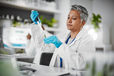 Buy stock photo Plants, test tube and science woman with research, exam and solution for leaves in laboratory, eco friendly medicine. Glass, sustainable healthcare study and pharmaceutical growth of senior scientist
