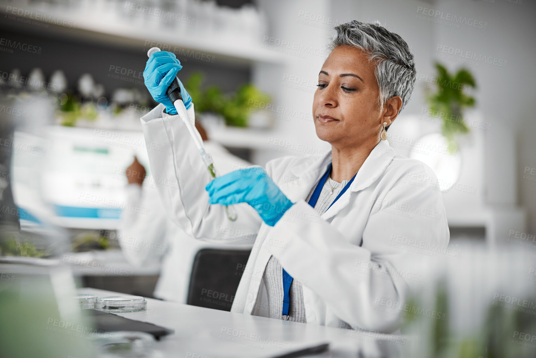 Buy stock photo Plants, test tube and science woman with research, exam and solution for leaves in laboratory, eco friendly medicine. Glass, sustainable healthcare study and pharmaceutical growth of senior scientist