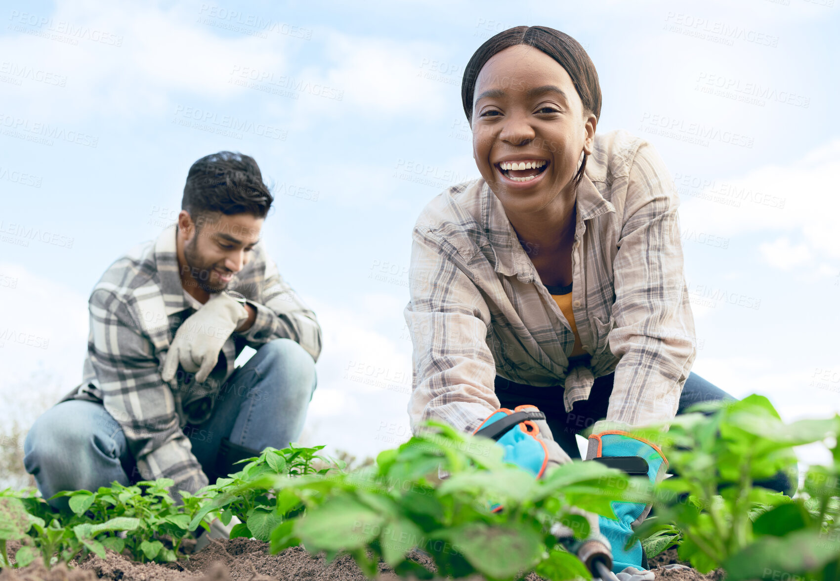 Buy stock photo Farmer, gardening and agriculture portrait in field with happy black woman and indian man working. Nature, soil and interracial farming people on vegetable produce farm together with low angle.